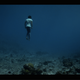 Illustration for article titled Heres What It Looks Like When Beyoncé Deep Sea Dives Into Your Self Esteem